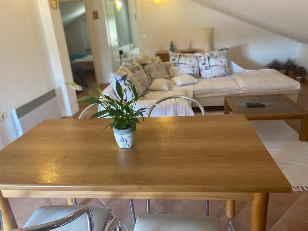 Casa Fumica Apartment Palit Zewnętrze zdjęcie