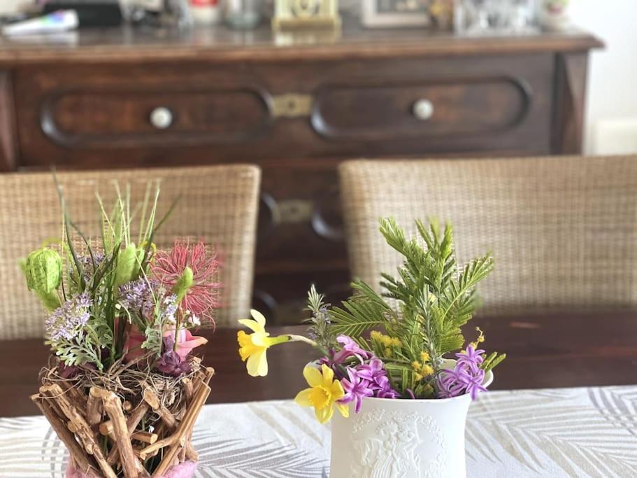Casa Fumica Apartment Palit Zewnętrze zdjęcie