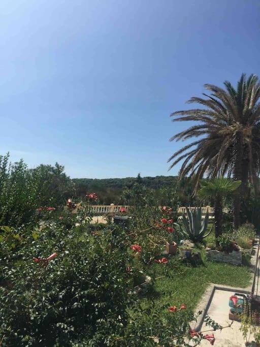 Casa Fumica Apartment Palit Zewnętrze zdjęcie